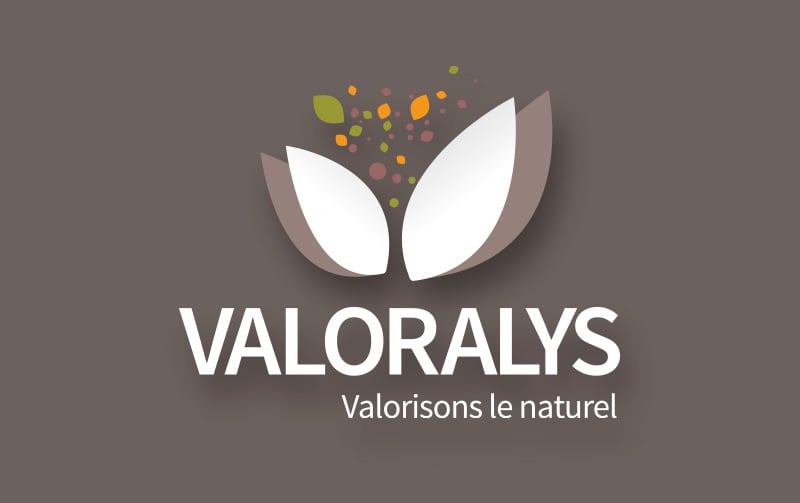 Création de la marque Valoralys.