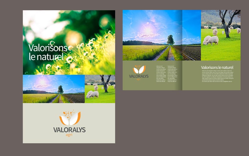 Création de la marque Valoralys.