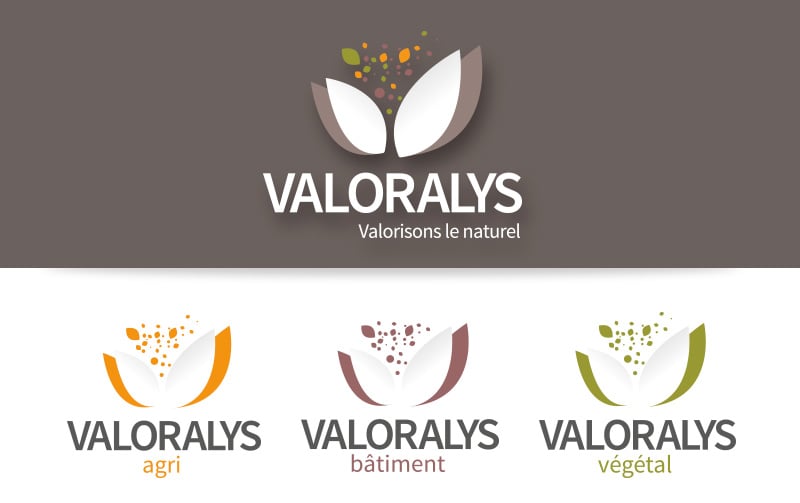 création du logo Valoralys
