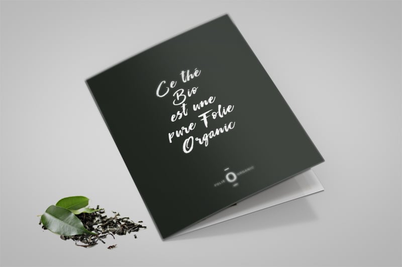 Création de l'image de marque et charte packaging de la gamme bio Folie Organic
