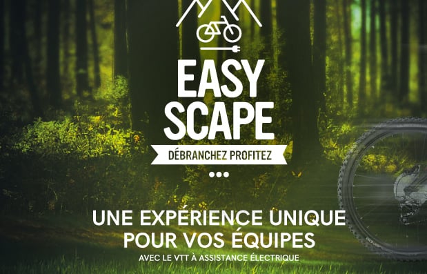 Création de la plaquette b to b Easyscape