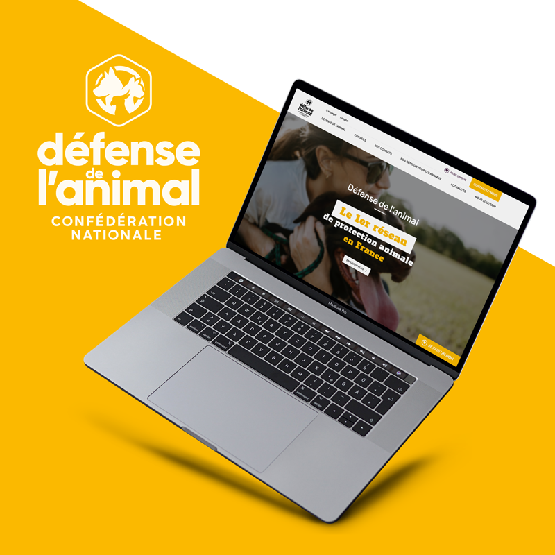 Un nouveau site internet pour Défense de l’Animal