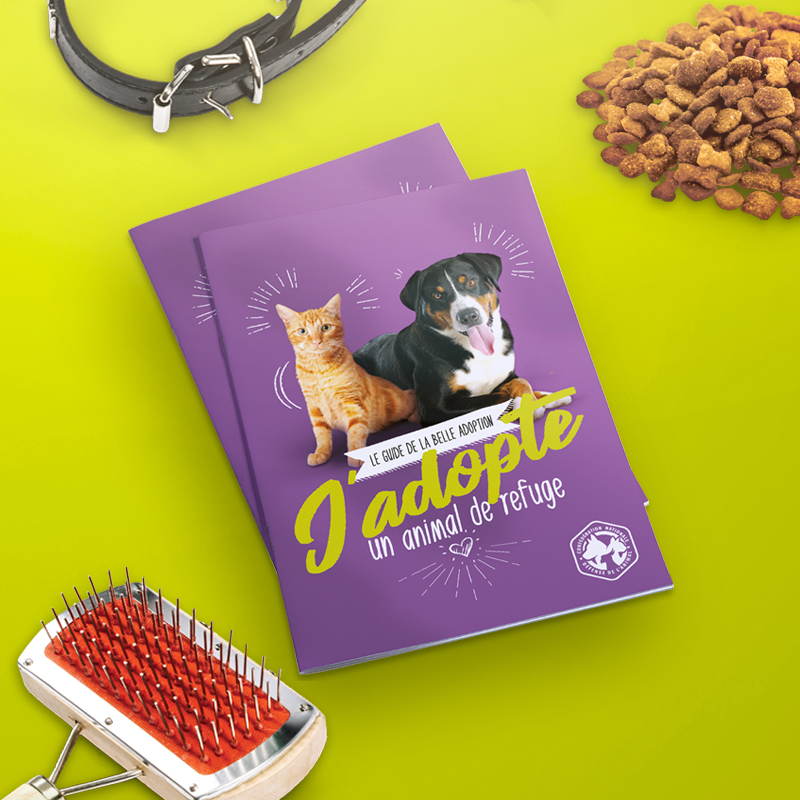 Création du guide de l’adoptant.