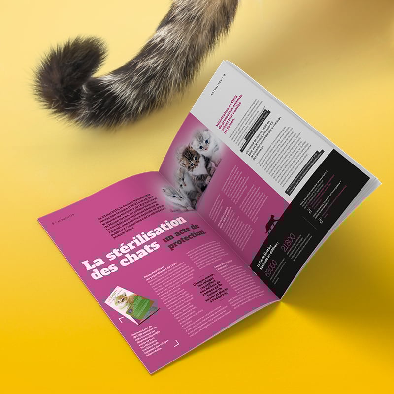 Création et édition du numéro 95 de la confédération nationale de la défense animale.