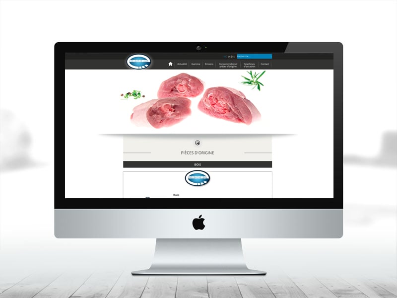 Création du site internet Emsens