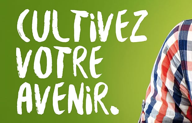 Création de la nouvelle charte graphique pour le lycée agricole de Précieux.