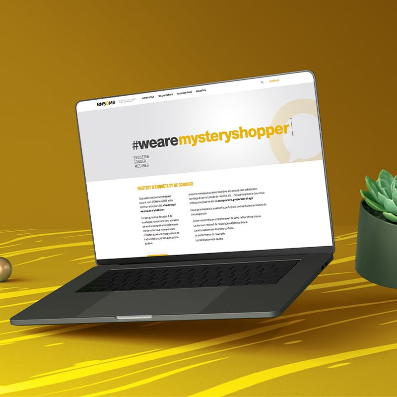 Création de site internet pour la nouvelle marque Ensome