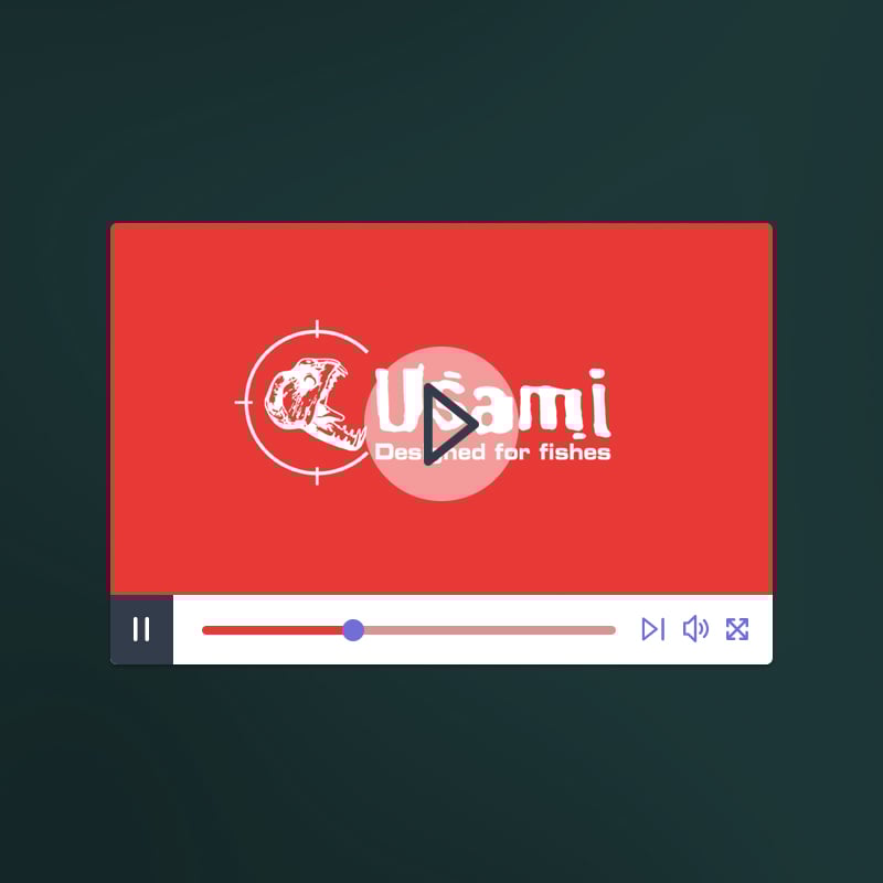 Création de films publicitaires pour la marque USAMI