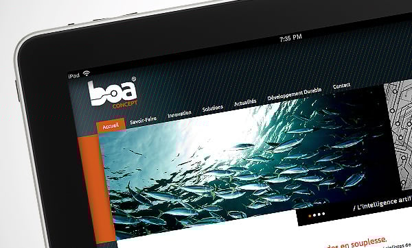 Création du site internet Boa Concept à Saint-Etienne.