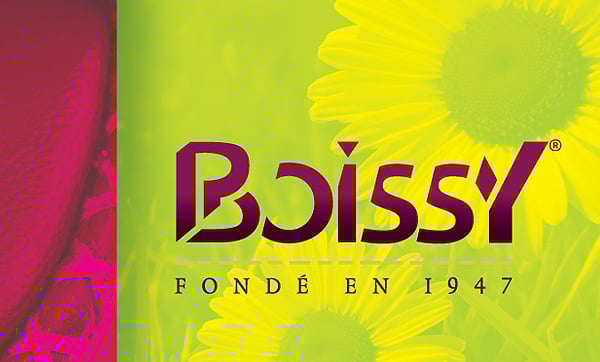 32 Décembre prend son pied avec les chaussures Boissy.
