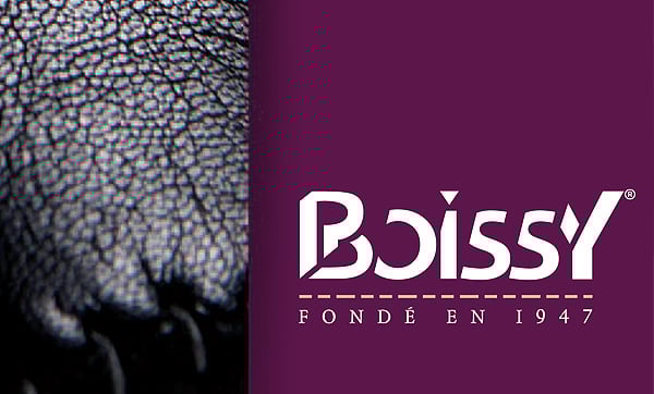 Création du catalogue Boissy Chaussures