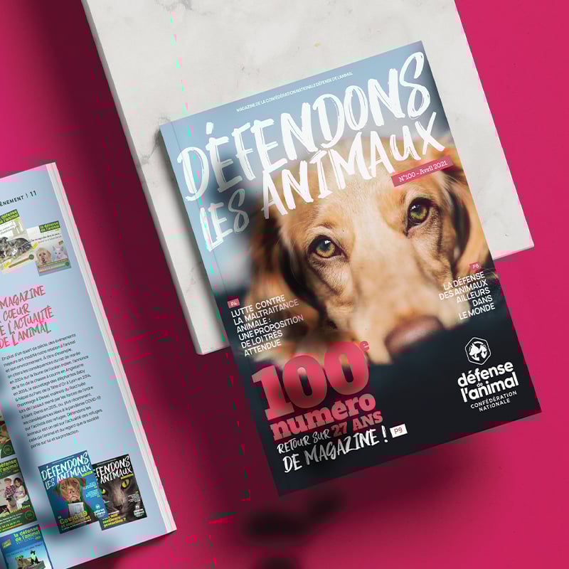 Et de 100 ! Le magazine national « Défendons les animaux » publie son 100ème numéro !